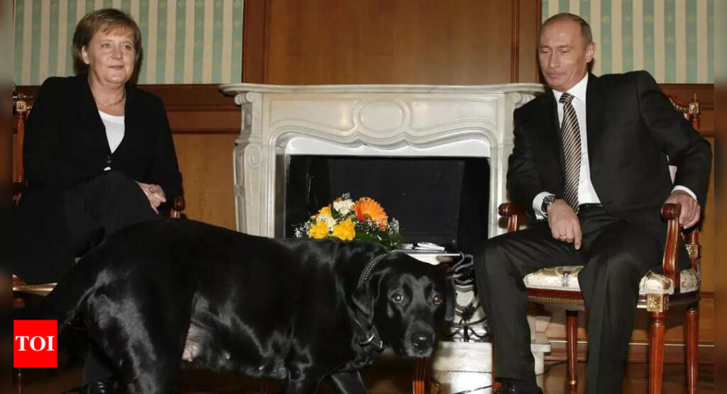‘Angela, forgive me’: Why Russian President Putin issued apology to former German chancellor