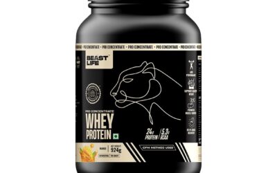 Protein Supplements