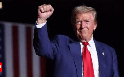 Qatar says decision to gift Trump super jet not final yet: ‘It could be a transfer’